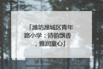 潍坊潍城区青年路小学：诗韵飘香，雅润童心